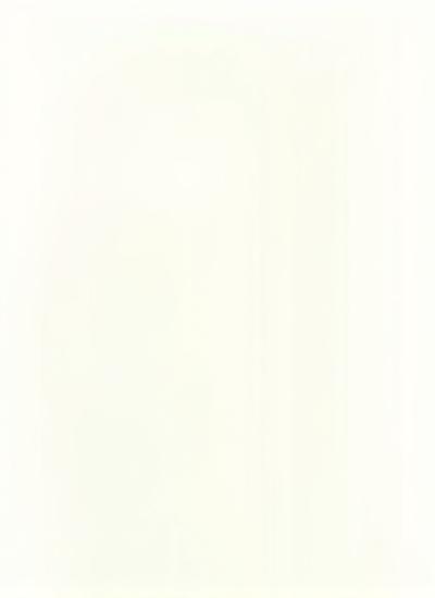 Cover of 'The Cosmos Hearth Guide to a Non-Toxic Home' with natural elements